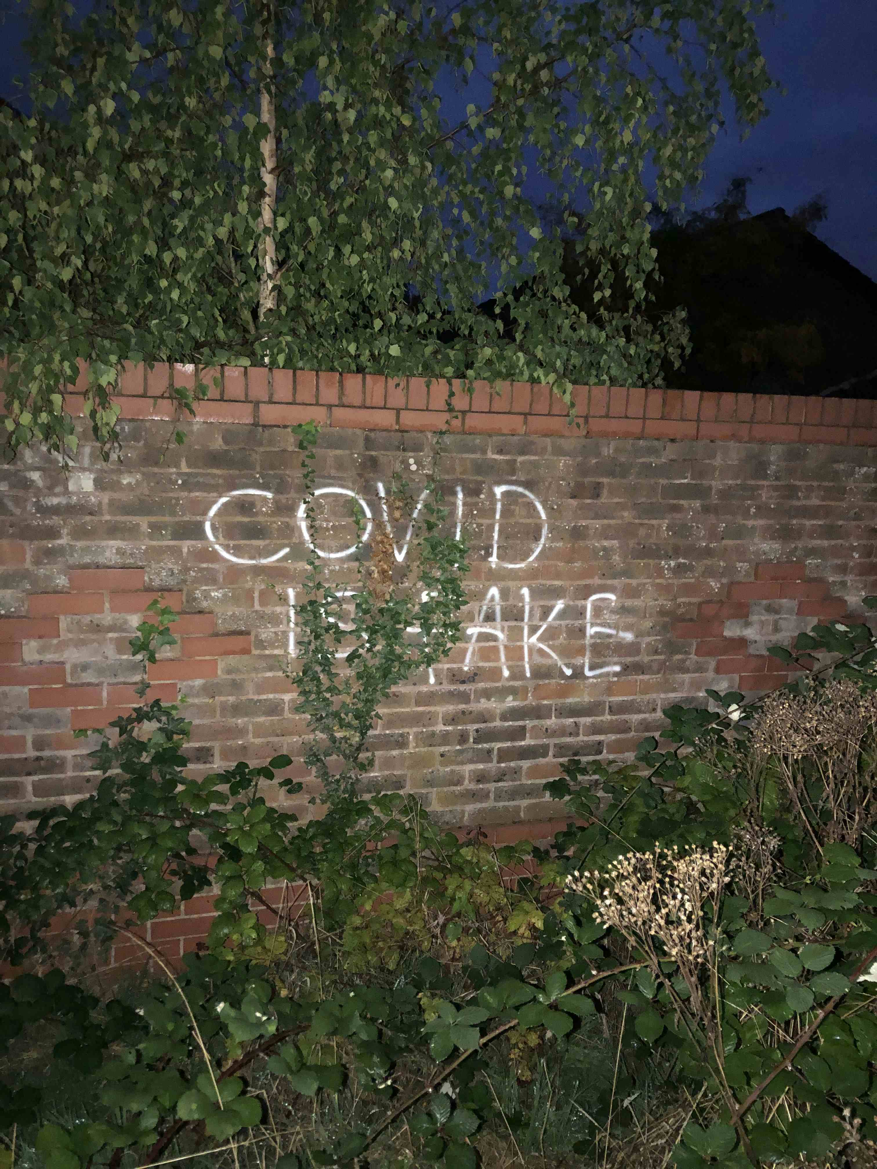 Covid is Fake